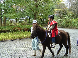 野間馬2