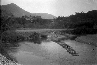 肱川の筏流し