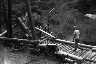 索道による木材の運搬