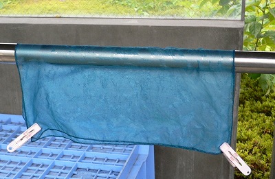 染めた布を干す様子