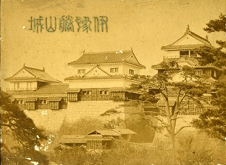 「伊予勝山城」（当館蔵）