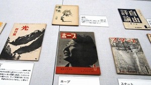 20100819_1269738