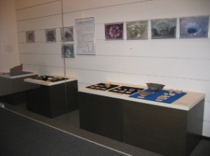展示風景②