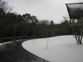 はに坊と雪 001
