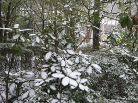 はに坊と雪 009