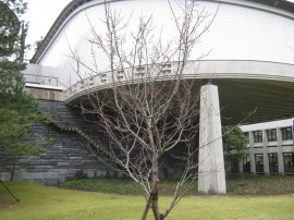 歴博の春 2012年3月22日 024