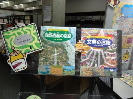 DSC02539